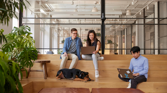 Company Office Image